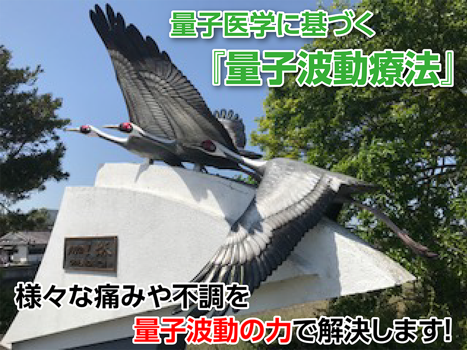 トップ画像